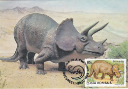 Carte Maximum Roumanie Préhistoire Prehistory 4084 Triceratops - Maximumkarten (MC)