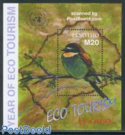 Lesotho 2002 Eco Tourism S/s, Mint NH, Nature - Birds - Lesotho (1966-...)