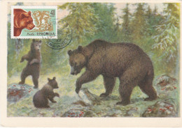 Carte Maximum Roumanie 1784 Ours Bear  Chasse Hunting - Maximum Cards & Covers