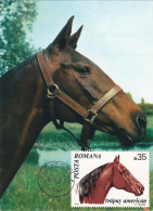 Carte Maximum Roumanie 2571 Cheval Horse Trotteur - Maximum Cards & Covers