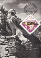 Carte Maximum Roumanie 2284 Oiseau Bird Gypaète Bearded Vultures - Maximum Cards & Covers