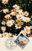 Carte Maximum Russie Russia Fleur Flower 3665 Camomille Chamomile - Maximum Cards