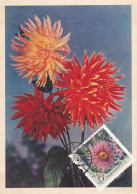 Carte Maximum Russie Russia Fleur Flower 3666 Dahlia - Maximumkarten