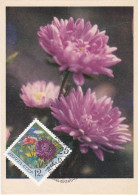 Carte Maximum Russie Russia Fleur Flower 3668 Aster - Cartoline Maximum