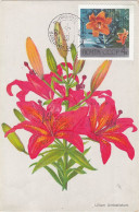 Carte Maximum Russie Russia Fleur Flower 3488 Lys Jaune Lily - Cartoline Maximum