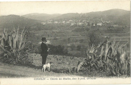 Cogolin Chemin Des Moulins Dans Le Fond Grimaud - Cogolin