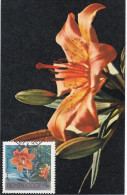 Carte Maximum Russie Russia Fleur Flower 3488 Lys Jaune Lily - Maximumkaarten