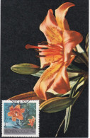 Carte Maximum Russie Russia Fleur Flower 3488 Lys Jaune Lily - Cartoline Maximum