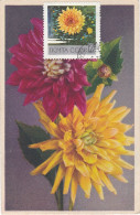 Carte Maximum Russie Russia Fleur Flower 3490 Dahlia - Tarjetas Máxima