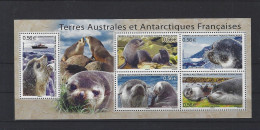 Terres Australes Et Antarctiques Françaises 2010 566 à 569 - Nuevos