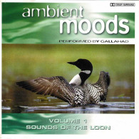 Gallahad - Ambient Moods Vol. 1 Sounds Of The Loon. CD - Nueva Era (New Age)