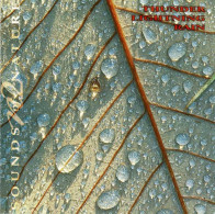 Paul Rayner-Brown - Thunder Lightning Rain. CD - Nueva Era (New Age)