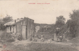 18 - SANCOINS - Château De La Pringale (côte Carré 33/42) - Sancoins