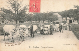 Auffay * 1906 * Ferme De Bosmelet * Scène Agricole Agriculture * Attelages Boeufs Paysans Villageois - Auffay