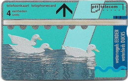 Netherlands - KPN - L&G - R006 - Ducks - 107F - 07.1991, 4Units, 5.000ex, Mint - Private