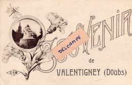 25 - Valentigney - Souvenir De Valentigney - Marque De Censure Au Dos - Valentigney