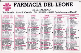 Calendarietto - Farmacia Del Leone - Castellamare - Napoli - Anno 1991 - Petit Format : 1991-00