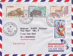 CAMEROUN -1969 -Lettre YAOUNDE Pour MONTESSON-78 (France).timbres Divers (Animaux,fleur ) Sur Lettre.....cachet - Cameroon (1960-...)