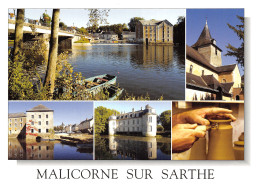 72-MALICORNE SUR SARTHE-N°2858-D/0133 - Malicorne Sur Sarthe