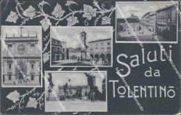 Ba337 Cartolina Saluti Da Tolentino Macerata Marche Bella 1909 Bella!! - Macerata