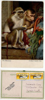 Germany 2003 Postcard Painting Of Monkeys, Die Schlemmer; Fürth Postmarks; 11c. & 34c. ATM / Frama Stamps - Singes