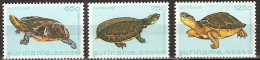 Suriname 1982  Zeefauna, Turtles, Schildpadden, Airmail MNH/**/Postfris  - Surinam