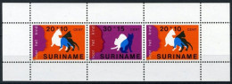 Suriname 1978 Voor Het Kind - Katten, Chats, Cats  - Block - MNH/**/Postfris  - Surinam