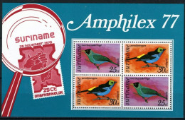 Suriname 1977 Amphilex Vogels, Oiseaux, Birds - Block - MNH/**/postfris - Surinam