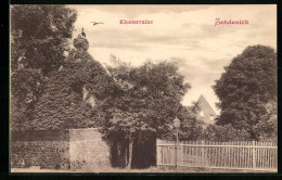 AK Zehdenick, Storch Auf Der Klosterruine  - Zehdenick