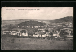 AK Bad Kissingen, Panorama Vom Pappenheimer Weg Gesehen  - Pappenheim