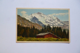 WENGEN   -  Jungfrau  -  SUISSE - Wengen