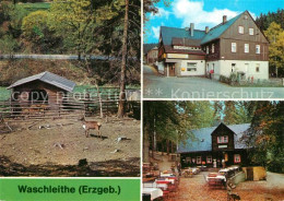 73569261 Waschleithe Tierpark Gastst?tten Osterlamm Und K?hlerh?tte  Waschleithe - Grünhain