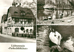 73566372 Lichtenstein Hohenstein-Ernstthal Parkschloesschen Schwanenteich Schwan - Hohenstein-Ernstthal