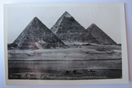 EGYPTE - GIZEH - Les Pyramides - Guiza