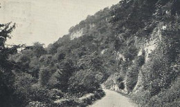 0-GBR05 01 01 - CHEPSTOW - THE WYNDCLIFF FROM TINTERN ROAD - Monmouthshire