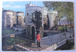 ROYAUME-UNI - ANGLETERRE - LONDON - Sentry At Tower Of London - Tower Of London