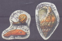 Belgie - 2005 - OBP - Natuur Schelpen - Used Stamps