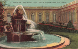 FRANCE - Versailles - Palais Du Grand Trianon - Bassin De La Coquille - Basin Of The Coquille's - Carte Postale Ancienne - Versailles