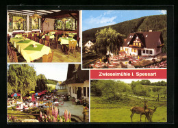 AK Schollbrunn / Spessart, Gasthaus Zwieselmühle Von Aussen Und Innen  - Zwiesel