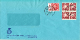 Greenland Cover Sent To Denmark 17-11-1977 - Lettres & Documents