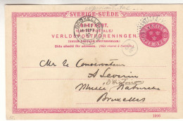 Suède - Carte Postale De 1910 - Entier Postal - Oblit Experimentalfalte.. ? - Exp Vers Bruxelles - - Cartas & Documentos