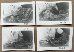 (4 X) Rolling And Cutting Cigars, CUBA  - 14 X 10 Cm (REPRO PHOTO! Zie Beschrijving, Voir Description, See Description)! - Beroepen