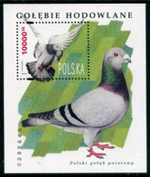 POLAND 1994 Pigeons Block MNH / **. Michel Block 126 - Blocs & Hojas