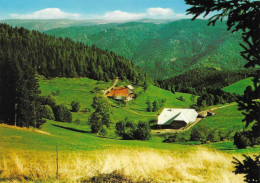 Duitsland 10 Schonach Blick Im Paradies - Schömberg