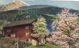 SUISSE - Le Printemps En Suisse - Colorisé - Carte Postale Ancienne - Sonstige & Ohne Zuordnung