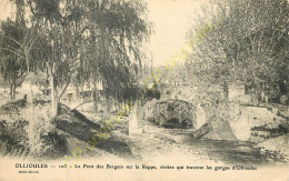 83.  OLLIOULES . Le Pont Des Bergers Sur La Reppe .  - Ollioules