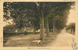 83.  AUPS .  Avenue Saint-Sébastien .  - Aups