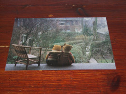 72191-      TEDDY BEAR / BEREN / BEARS / BÄREN / OURS / ORSI - Spielzeug & Spiele