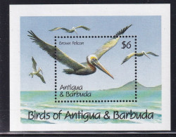 Antigua Et Barbuda BF N°188 - Oiseaux - Neuf ** Sans Charnière - TB - Antigua Und Barbuda (1981-...)