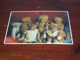 72196-      TEDDY BEAR / BEREN / BEARS / BÄREN / OURS / ORSI - Jeux Et Jouets